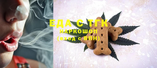 спиды Богородицк