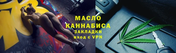 спиды Богородицк