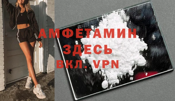 спиды Богородицк
