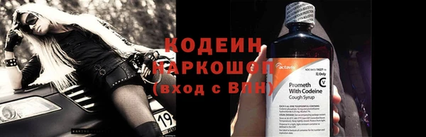 спиды Богородицк