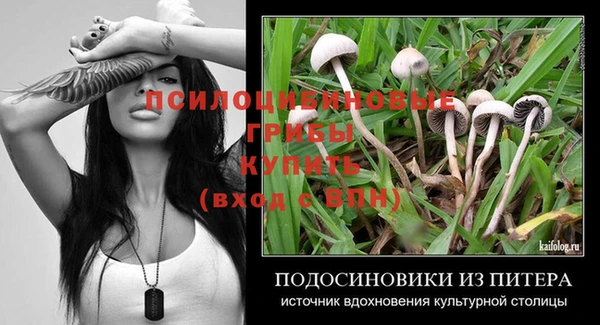 гашик Богородск