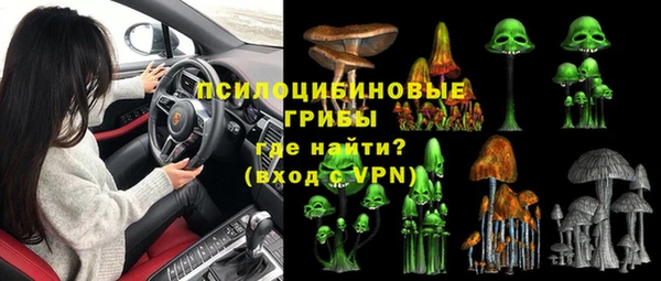 гашик Богородск