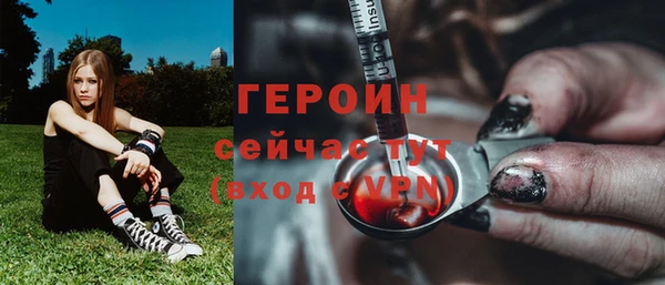 спиды Богородицк