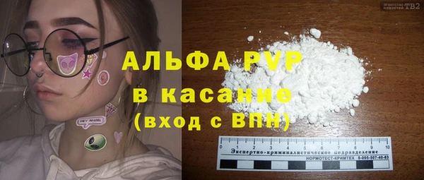 спиды Богородицк