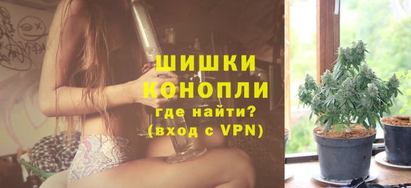 спиды Богородицк