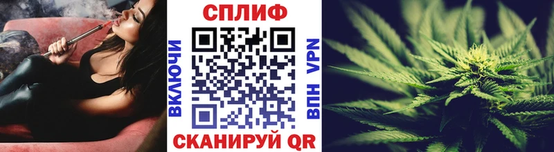 Конопля гибрид  Электроугли 